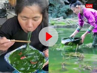 चीन में चौमिन की तरह चाव से खाते हैं काई, मिर्ची का तड़का लगाकर बनाते है लजीज, लोग बोले- अब कौन सा वायरस फैलाओगे...