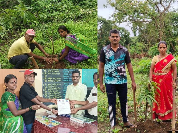 unique initiative of Kinjawade Gram Panchayat for newlyweds to get marriage certificate only if they plant a tree Sindhudurg News: एक झाड लावले तरच मिळेल मॅरेज सर्टिफिकेट, किंजवडे ग्रामपंचायतीचा नवविवाहितांसाठी अनोखा उपक्रम