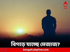 In Pics: হঠাৎ বিগড়ে যাচ্ছে মেজাজ? কীভাবে নিয়ন্ত্রণে রাখবেন? পাতে থাকুক এই খাবারগুলি