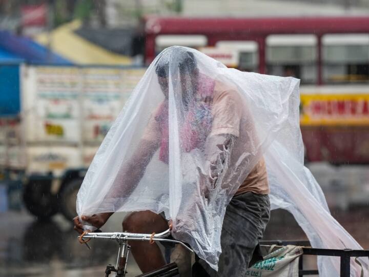 Maharashtra Rain News Heavy rain likely over Marathwada and Vidarbha Maharashtra Rain : मराठवाड्यासह विदर्भात जोरदार पावसाची शक्यता, वाचा हवामान विभागाचा अंदाज