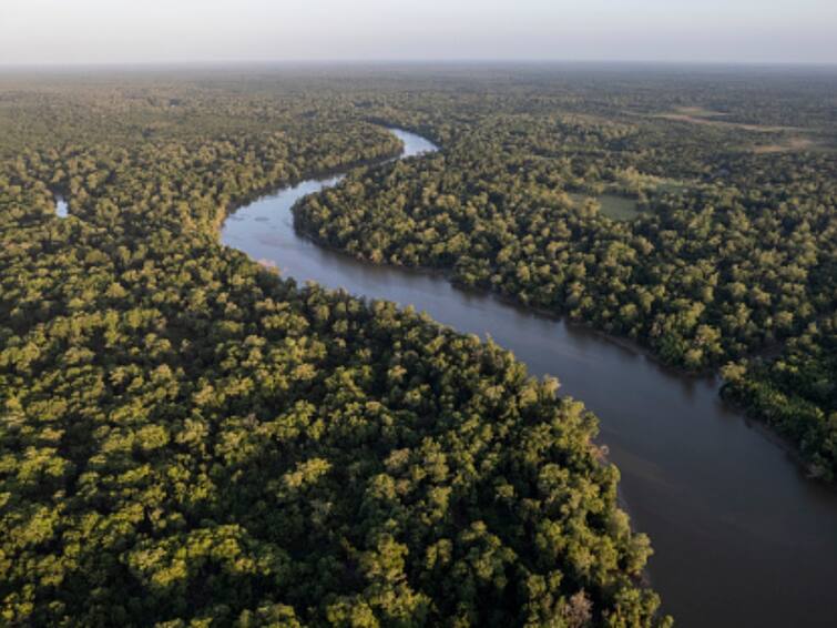 Eight Amazon Nations Brazil Form Alliance Fight Deforestation Amazon World Largest Rainforest But Fail To Agree On Common Goal Reports Eight Amazon Nations Form Alliance To Fight Deforestation In The Amazon, But Fail To Agree On Common Goal: Reports