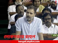 আদানি-প্রসঙ্গ মনে করিয়ে দিলেন, অনাস্থা প্রস্তাব নিয়ে দ্বিতীয় দফার আলোচনা, লোকসভায় বক্তৃতা রাহুলের