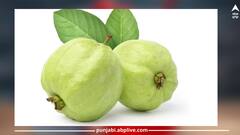 Guava: ਜਾਣੋ ਅਮਰੂਦ ਦੇ ਹੈਰਾਨ ਕਰ ਦੇਣ ਵਾਲੇ ਫਾਇਦਿਆਂ ਬਾਰੇ