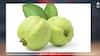 Guava: ਜਾਣੋ ਅਮਰੂਦ ਦੇ ਹੈਰਾਨ ਕਰ ਦੇਣ ਵਾਲੇ ਫਾਇਦਿਆਂ ਬਾਰੇ