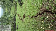 Pune Landslide : पुण्यातील पदरवाडी इथल्या डोंगराला तब्बल 300 मीटरच्या भेगा