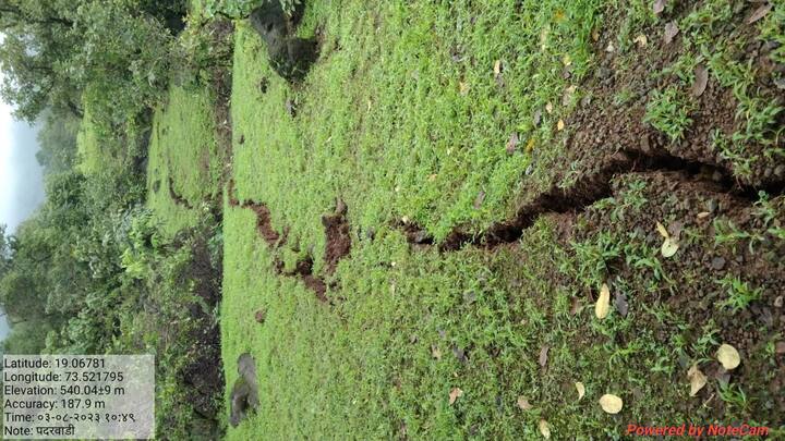 पुणे जिल्ह्यात पुन्हा भूस्खलनाची भीती व्यक्त केली जातीये. खेड तालुक्यातील पदरवाडी येथील डोंगराला तब्बल तीनशे मीटरच्या भेगा पडलेल्या आहेत. सुदैवाची बाब इतकीच आहे की इथली पंधरा कुटुंब ही भेगा पडलेल्या डोंगराच्या वरच्या बाजूस वास्तव्यास आहेत. मात्र खालचा भाग कोसळला तर या घरांना धोका निर्माण होण्याची दाट शक्यता आहे.