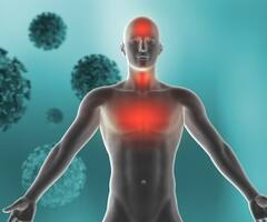 Immune System: ਇਮਿਊਨਿਟੀ ਨੂੰ ਕਮਜ਼ੋਰ ਕਰਦੀਆਂ ਨੇ ਇਹ ਚੀਜ਼ਾਂ, ਅੱਜ ਹੀ ਕਹੋ ਬਾਏ-ਬਾਏ