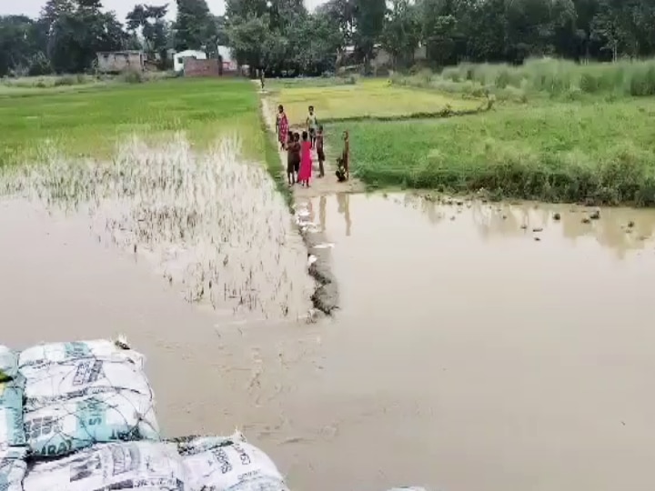 Bihar Flood News: शिवहर में बाढ़ का खतरा, बागमती और लालबकेया नदी लाल निशान से पार, निचले इलाकों में घुसा पानी