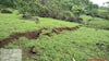 Pune Landslide : पुण्यातील पदरवाडी इथल्या डोंगराला तब्बल 300 मीटरच्या भेगा