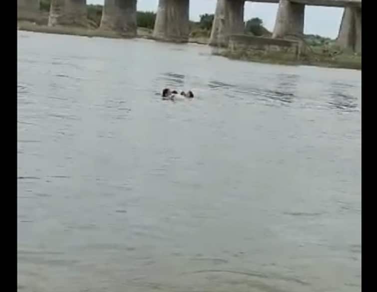 Bhavnagar: The woman saved the life of a 12-year-old child who was drowning in the river Video: ભાવનગરમાં નદીના ધસમસતા પ્રવાહમાં તણાઇ રહ્યો હતો 12 વર્ષનો બાળક, જીવની ચિંતા કર્યા વિના મહિલાએ ઝંપલાવ્યું ને...