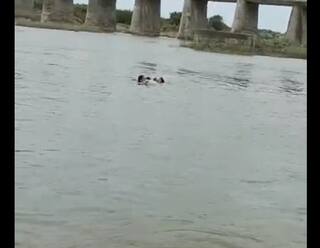 Video: ભાવનગરમાં નદીના ધસમસતા પ્રવાહમાં તણાઇ રહ્યો હતો 12 વર્ષનો બાળક, જીવની ચિંતા કર્યા વિના મહિલાએ ઝંપલાવ્યું ને...