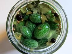 इस अनोखी सब्जी खाने से मिलते हैं 5 बड़े फायदे, जानें इसका नाम