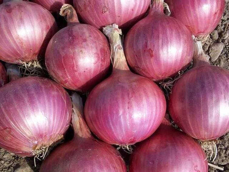 Onion Inflation to Bring Tears Next After tomato makes pockets bleed Onion Price: పేలడానికి సిద్ధంగా ఉన్న ఆనియన్‌ బాంబ్‌ - బాబులూ, మీ జాగ్రత్త మీ జేబులు!