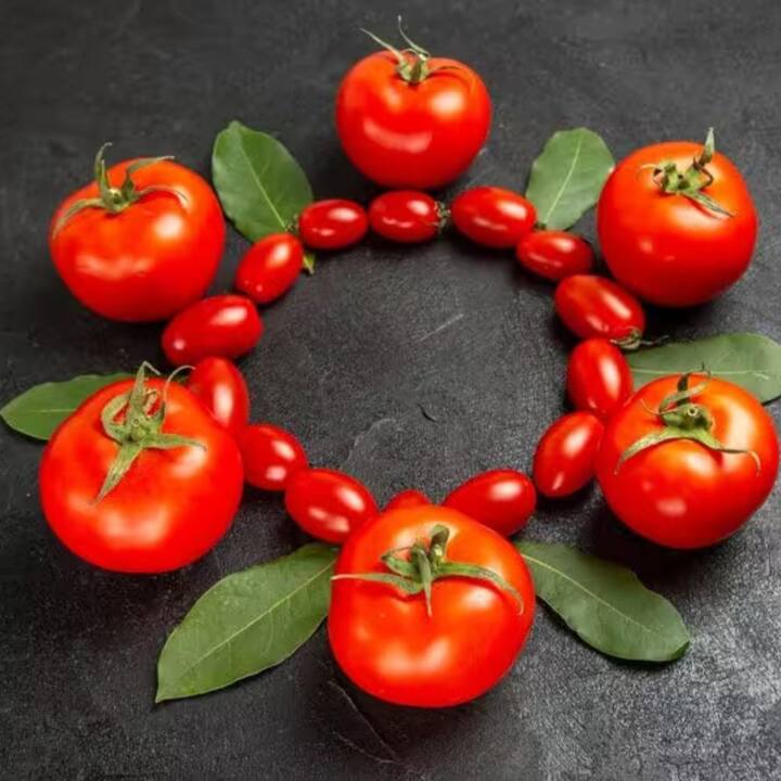 টোম্যাটো অন্যতম প্রধান সবজি। খাবারের স্বাদ বাড়াতে ব্যবহার করা হয়। এছাড়া স্যালাডে কাঁচা খাওয়া হয়। টোম্যাটো সম্পর্কে বলা হয়ে থাকে যে, এর সাথে হার্টের স্বাস্থ্যের সম্পর্ক রয়েছে। কিছু গবেষক বলেন, এর কোলেস্টেরল-হ্রাসকারী প্রভাব রয়েছে।