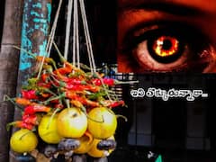 Dishti: రోడ్డుపై వీటిని తొక్కేస్తున్నారా - ఏం జరుగుతుందో తెలుసా!