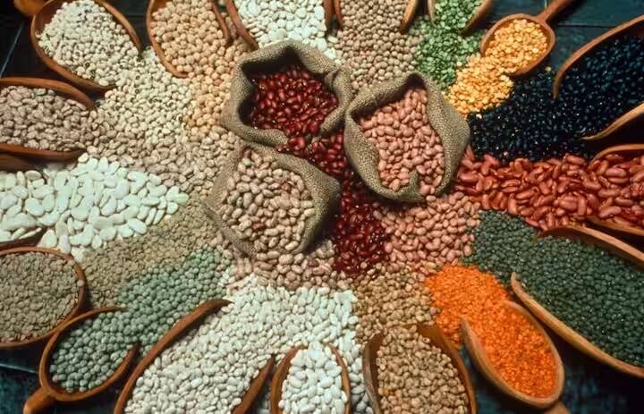 Pulses Rate Increase in the country 9 percent deficit in pulses dal price hike Dals Rate Increase  : टोमॅटोनंतर आता डाळींची दरवाढ होणार; देशात यंदा डाळींच्या पेरण्यांमध्ये 9 टक्क्यांची तूट