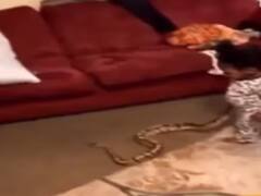 Viral Video: ਘਰ ਦੇ ਬਗੀਚੇ 'ਚ ਖੇਡ ਰਿਹਾ ਬੱਚਾ, ਅੰਦਰ ਲੈ ਆਇਆ ਬਾਹਰੋਂ ਲੱਭਿਆ ਖਤਰਨਾਕ 'ਦੋਸਤ', ਦੇਖ ਕੇ ਚੀਕ ਪਈ ਮਾਂ