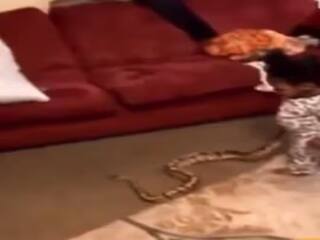 Viral Video: ਘਰ ਦੇ ਬਗੀਚੇ 'ਚ ਖੇਡ ਰਿਹਾ ਬੱਚਾ, ਅੰਦਰ ਲੈ ਆਇਆ ਬਾਹਰੋਂ ਲੱਭਿਆ ਖਤਰਨਾਕ 'ਦੋਸਤ', ਦੇਖ ਕੇ ਚੀਕ ਪਈ ਮਾਂ