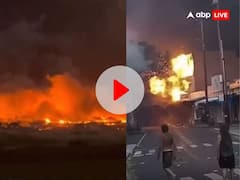 जंगल में लगी आग ने लिया रौद्र रूप, बड़ी-बड़ी लपटों ने शहर में मचाई तबाही, जान बचाने समुद्र में कूदे लोग-VIDEO