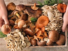 పుట్టగొడుగులు తిని ముగ్గురు మృతి, సినిమాను తలపించే క్రైం