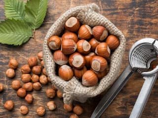 काजू औऱ बादाम का बाप है ये वाला नट्स...फायदे जानकर दंग रह जाएंगे आप