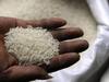 Rice Price Hike: మండిపోతున్న బియ్యం ధరలు, గత 15 ఏళ్లలో ఎన్నడూ ఇంత రేటు వినలేదు