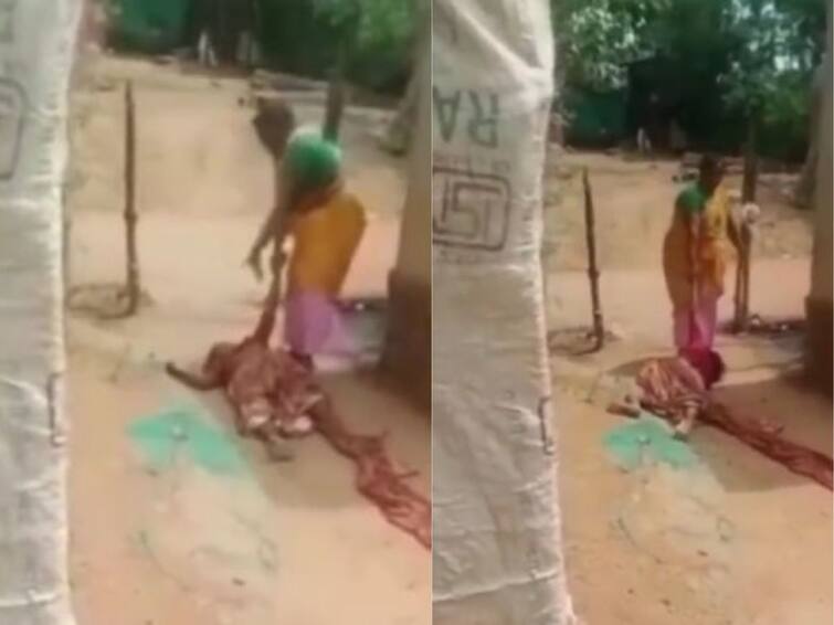 Krishna Woman Attack On Old Lady Due to Bad Odour know all details Krishna: వాసన వస్తోందని వృద్ధురాలిపై దాడి - ఇంట్లోంచి వెళ్లగొట్టిన పక్కింటి మహిళ