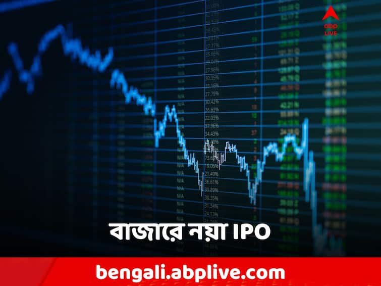 SBFC Finance IPO Allotment Date Today GMP How to Check IPO Status Online SBFC Finance IPO: বাজারে নয়া IPO! তুঙ্গে উৎসাহ! আপনি পাবেন কীভাবে?