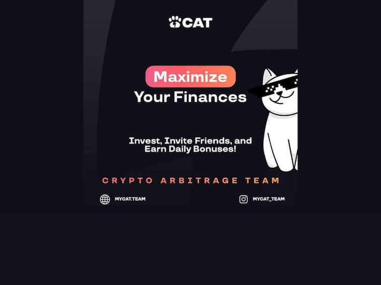 Meet CAT: A Revolutionary In The Crypto Market Celebrates Its 1-Year Anniversary