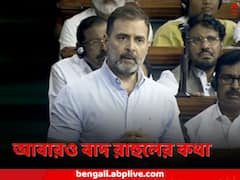 ‘বিজেপি-র মেরুকরণের রাজনীতিতেই হিংসা’, ‘ মণিপুরে ভারতমাতার হত্যা’, লোকসভার রেকর্ড থেকে বাদ গেল রাহুলের মন্তব্য