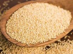 खसखस की खीर से दूर होगी कई समस्या...यहां जानिए इसे बनाने का सटीक तरीका