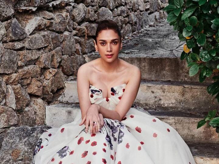 Aditi Rao Hydari loves wearing elegant, intricate gowns, and her most recent one has left fans spellbound.