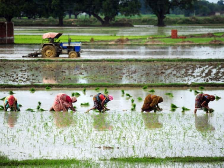 Importance Of Monsoon And Its Impact On The $3 Trillion Indian Economy Importance Of Monsoon And Its Impact On The $3 Trillion Indian Economy