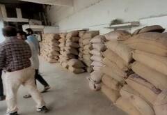 ગીર સોમનાથમાં સરકારી અનાજ બારોબાર વેચી મારવાનું કૌભાંડ; ઘઉં, ચોખા અને ચણાનો જથ્થો ઝડપાયો