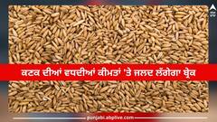 Wheat Price: ਕਣਕ ਦੀਆਂ ਵਧਦੀਆਂ ਕੀਮਤਾਂ 'ਤੇ ਜਲਦ ਲੱਗੇਗਾ ਬ੍ਰੇਕ, 3 ਦਿਨਾਂ 'ਚ ਸਰਕਾਰ ਲੈ ਸਕਦੀ ਵੱਡਾ ਫੈਸਲਾ