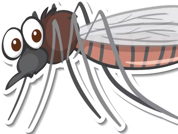 असम में पिछले कुछ सालों से डेंगू और जापानी एन्सेफलाइटिस (जेई) सहित वेक्टर जनित बीमारियां तेजी से फैली रही है.