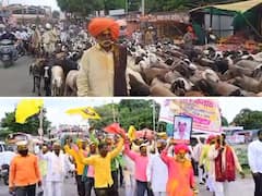 सांगली : आटपाडीमध्ये मेंढपाळांचा विविध मागण्यांसाठी तहसीलदार कार्यालयावर मेंढ्यांसह मोर्चा