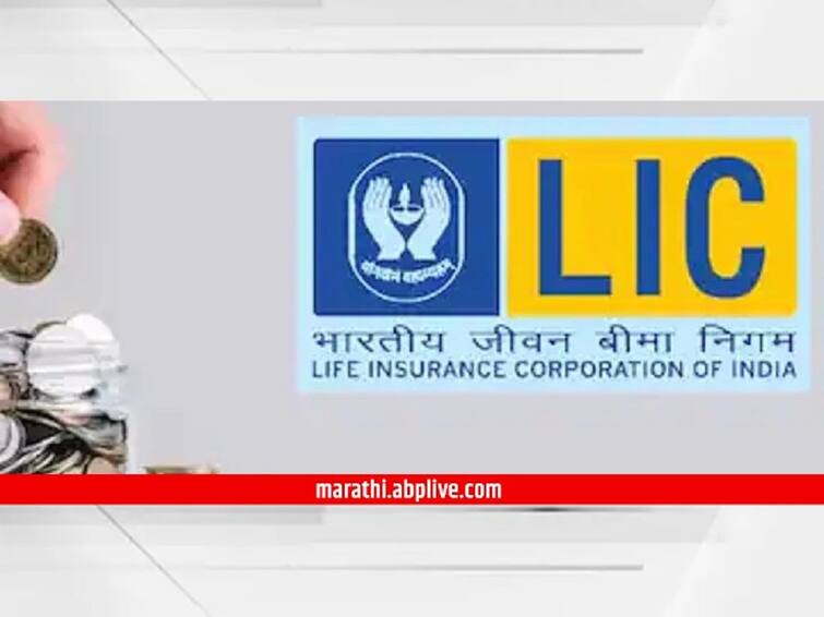 LIC Q1 Results Profit surges multifold to Rs 9544 crore insurance policy selling fallen LIC Q1 Results : जून तिमाहीत एलआयसीच्या निव्वळ नफ्यात 1299 टक्क्यांची वाढ, पण...