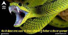 ਸੱਪ ਦੇ ਡੰਗਣ ਨਾਲ ਮਰਨ 'ਤੇ ਪੀੜਤ ਪਰਿਵਾਰ ਨੂੰ ਮਿਲੇਗਾ 4 ਲੱਖ ਦਾ ਮੁਆਵਜ਼ਾ, 48 ਘੰਟਿਆਂ 'ਚ ਖਾਤੇ 'ਚ ਆਉਣਗੇ ਪੈਸੇ