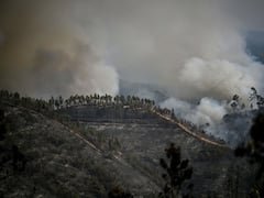 36 Dead, Several Injured As Wildfire Tears Through Parts Of Hawaiian Island Of Maui