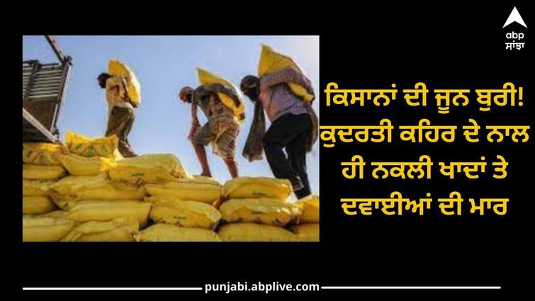 Farmers bad condition! Along with the natural fury, artificial fertilizers and medicines Punjab News: ਕਿਸਾਨਾਂ ਦੀ ਜੂਨ ਬੁਰੀ! ਕੁਦਰਤੀ ਕਹਿਰ ਦੇ ਨਾਲ ਹੀ ਨਕਲੀ ਖਾਦਾਂ ਤੇ ਦਵਾਈਆਂ ਦੀ ਮਾਰ