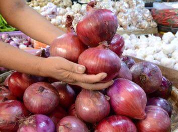 बदलत्या वातावरणाचा कांदा पिकाला मोठा फटका बसला आहे. तसेच अनेक भागात झालेल्या पावसाचाही पिकावर परिणाम झाला आहे. तसेच काही भागात साठवून ठेवलेला कांदा मोठ्या प्रमाणात खराब देखील झाला आहे.