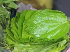 Betel Leaf Disadvantage: શું આપ પાન ખાવાના શોખિન છો? તો સાવધાન, સ્વાસ્થ્ય પર થાય છે આ ખતરનાક અસર