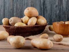 Weight Gain Tips:સુકલકડી કાયાથી પરેશાન છો? આ 6 ફૂડને ડાયટમાં કરો સામેલ, ફટાફટ વધશે વજન