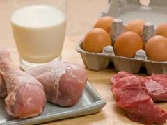 Protein Balls Recipe : ' சின்ன உருண்டை..பெத்த ப்ரோடீன்..’ ஒருநாளுக்கு தேவையான மொத்த ப்ரோடீனும் இதில் இருக்கு!