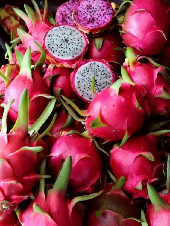 ड्रैगन फ्रूट खाने से मिलते हैं 10 जबरदस्त फायदे