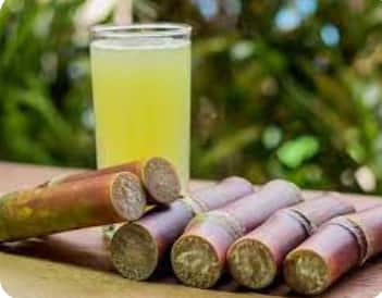 ऊसाचा (Sugarcane) रस हे आरोग्यदायी पेय मानले जाते. सगळ्या ऋतूत ऊसाचा रस पिणे अत्यंत फायदेशीर मानले जाते.
