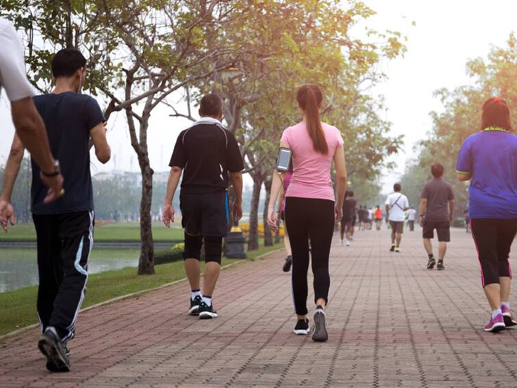 Walking 2,337 steps a day can reduce the risk of heart disease, according to a new study. Walking Benefits: ரொம்பதூரம் வேண்டாம்.. ஒரு நாளில் இவ்வளவு தூரம் மட்டும் நடந்தால் போதும் - புதிய ஆய்வு சொல்லும் சேதி..
