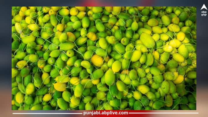 Benefits Spiny Gourd Kantola: ਮੀਟ ਤੋਂ ਵੀ ਜ਼ਿਆਦਾ ਤਾਕਤਵਰ ਇੱਕ ਸਬਜ਼ੀ ਬਾਜ਼ਾਰ ਵਿੱਚ ਸਿਰਫ 90 ਦਿਨ ਹੀ ਮਿਲਦੀ ਹੈ। ਸਿਹਤ ਮਾਹਿਰਾਂ ਨੇ ਵੀ ਇਸ ਸਬਜ਼ੀ ਨੂੰ 5 ਬੀਮਾਰੀਆਂ ਲਈ ਰਾਮਬਾਣ ਇਲਾਜ ਦੱਸਿਆ ਹੈ।