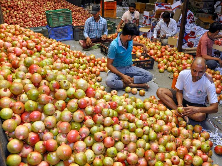 Pomegranate fruit prices fall in hyderabad and telangana amid high supply Pomegranate Prices: భారీగా పడిపోయిన దానిమ్మ పండ్ల ధరలు - కారణం ఏంటంటే